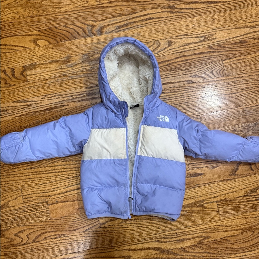 The North Face Moondoggy Water Repellent 550-Fill Down Jacket